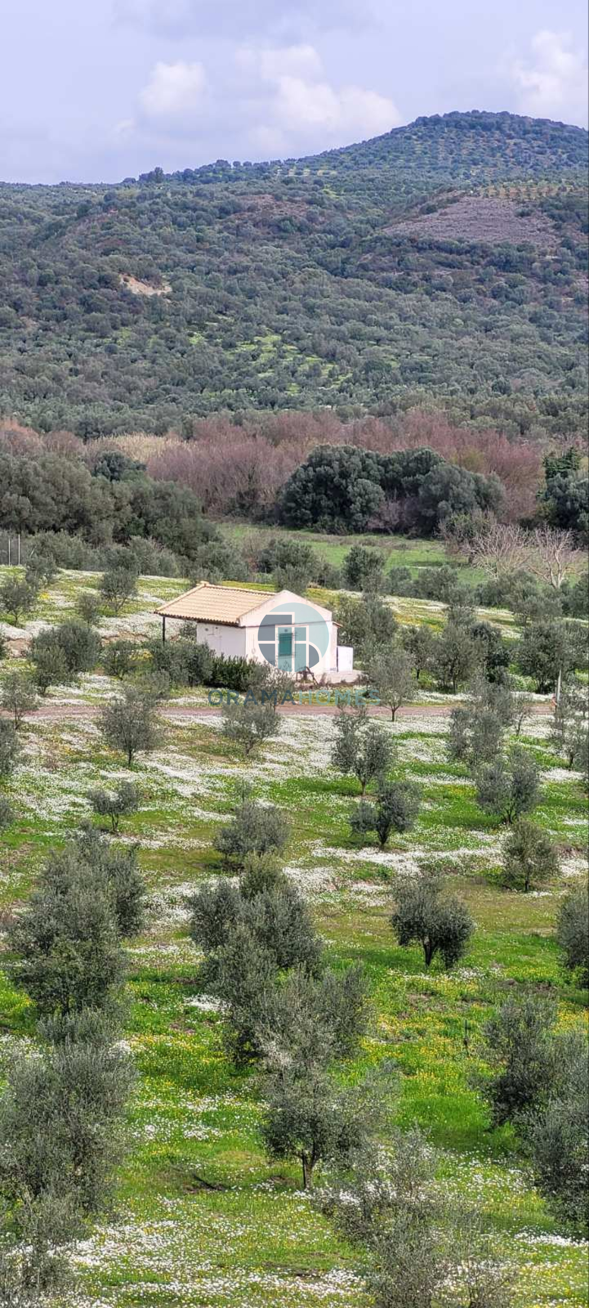 property-img